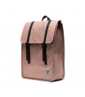 Survey Ii Weather Resistant Backpack Pink